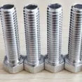 Hastelloy C276 Bolts